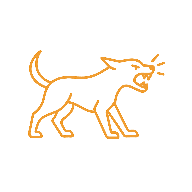 Chien montrant les dents ou grognant