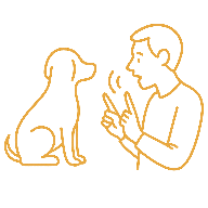 Chien regardant son humain attentivement