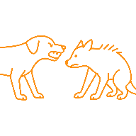 Deux chiens qui grognent l’un sur l’autre ou se regardent mal à l’aise