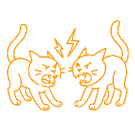 Deux chats face à face, en tension