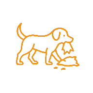 Chien ayant détruit un coussin ou un meuble