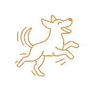 Chien excité courant ou sautant