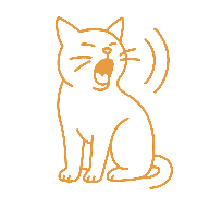 Chat miaulant devant une porte ou une fenêtre