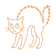 Chat caché sous un meuble ou apeuré