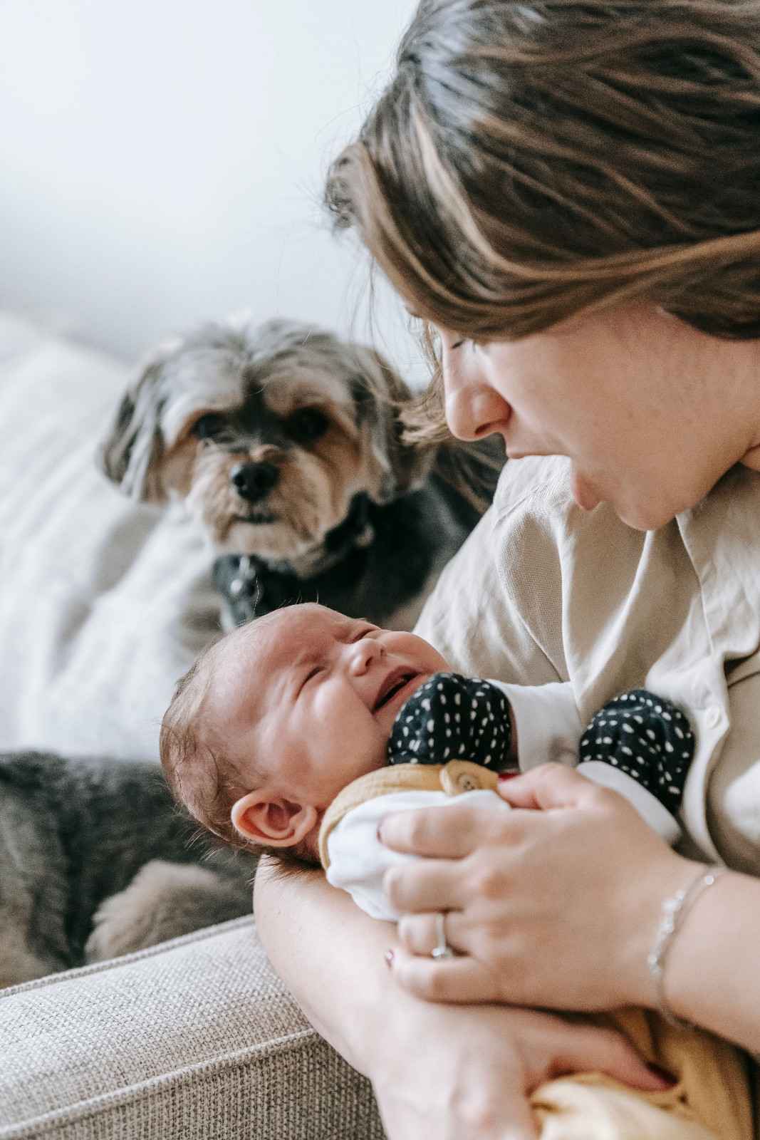 Chien obersvant de loin un bébé dans les bras de sa mère
