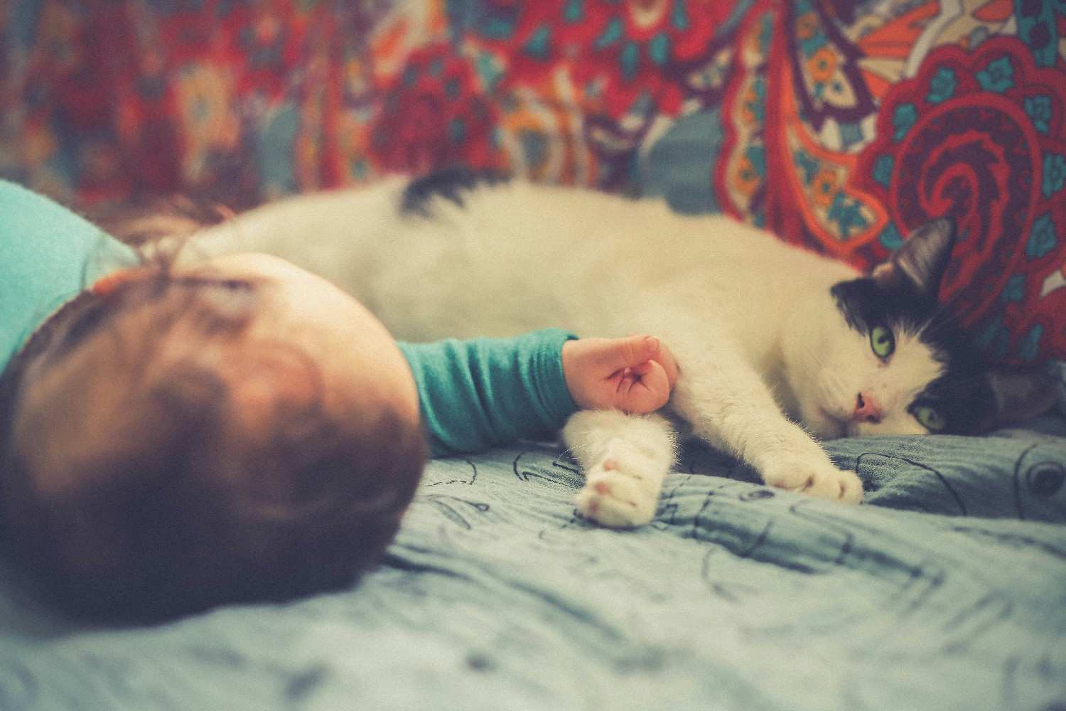 Chat allongé à coté d'un bébé, sans la place pour être détendu