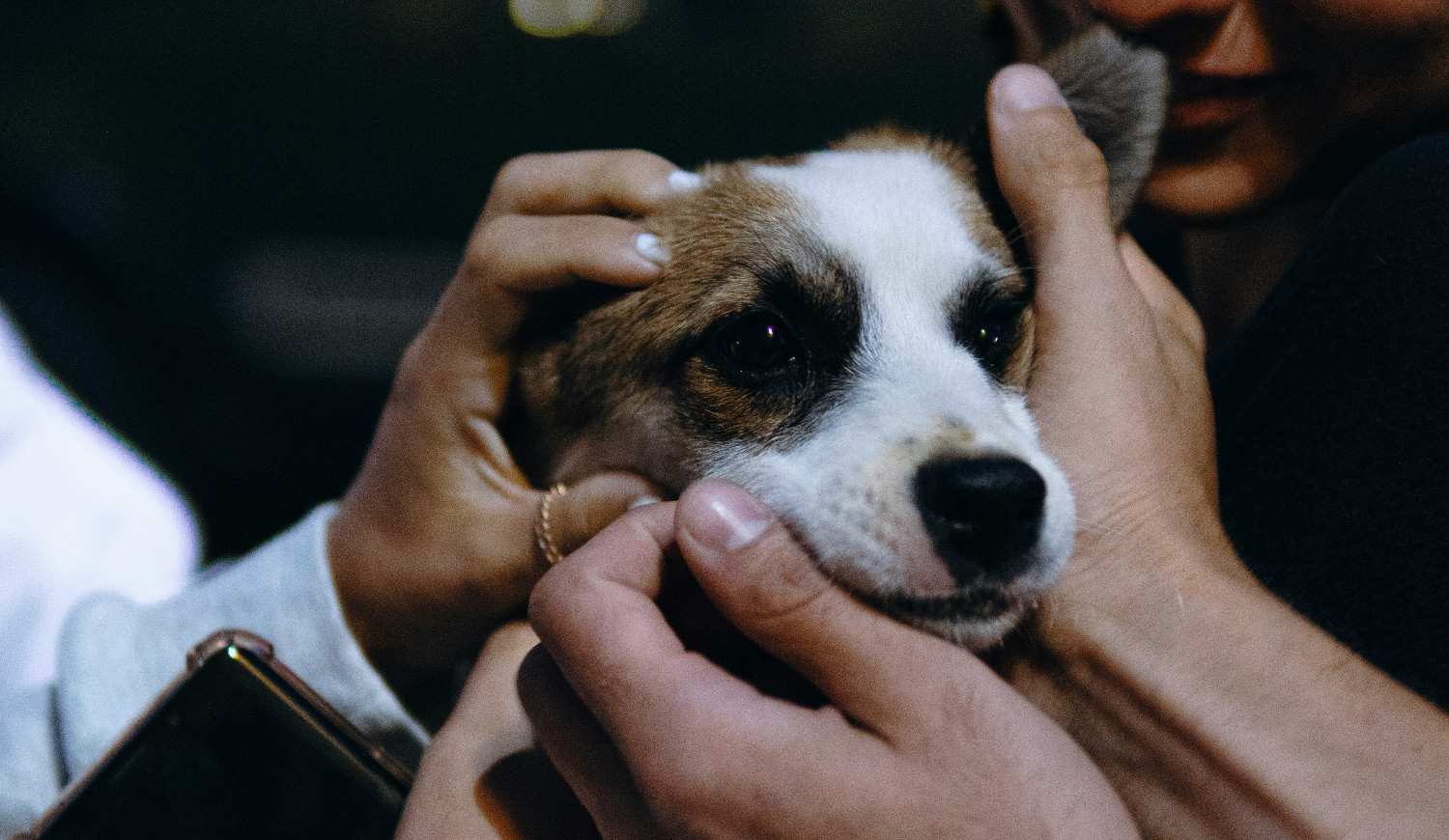 Image locale insérée