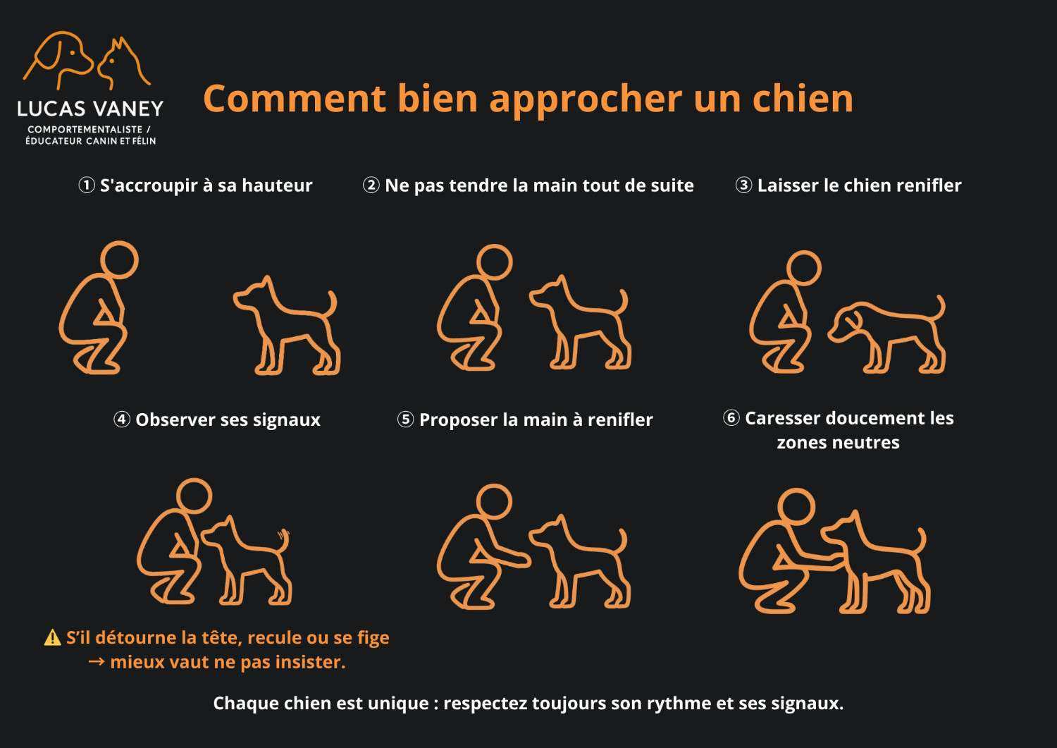 Image illustrant les étapes à suivre pour bien approcher un chien