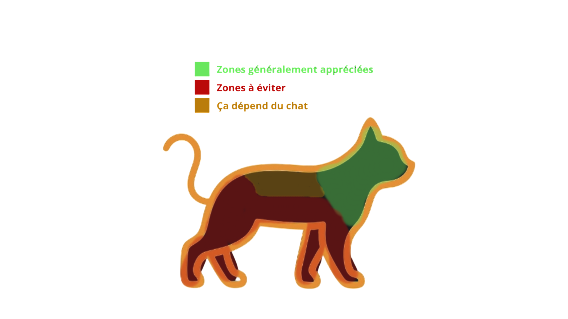 Charte illustrant les zones appréciées et évitées sur le corps d'un chat
