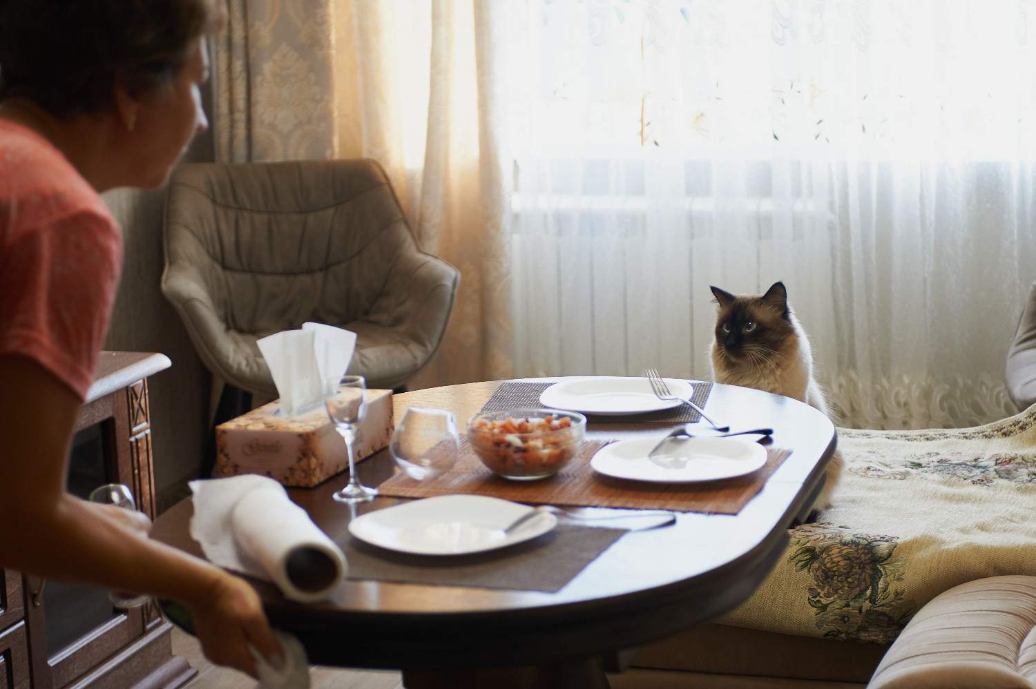 Chat assis à une table à manger avec une femme qui lui prépare le dîner.