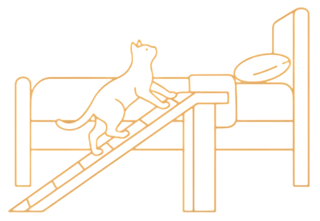 Illustration d'un chat âgé qui utilise une rampe pour accéder à un lit en hauteur