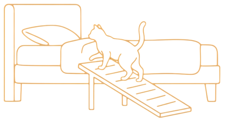 Chat senior utilisant une rampe pour accéder confortablement à son espace en hauteur