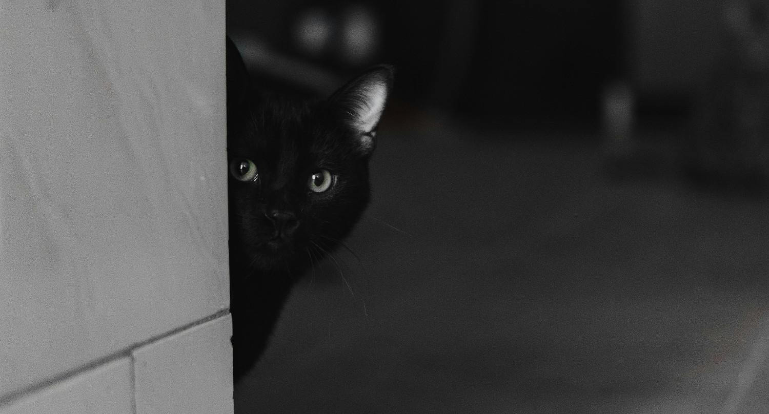 Image locale insérée