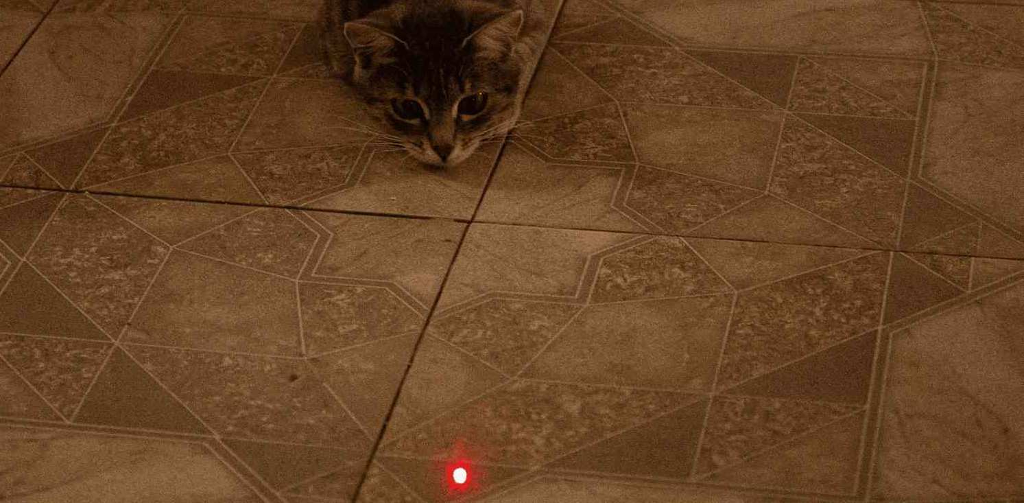 Image locale insérée