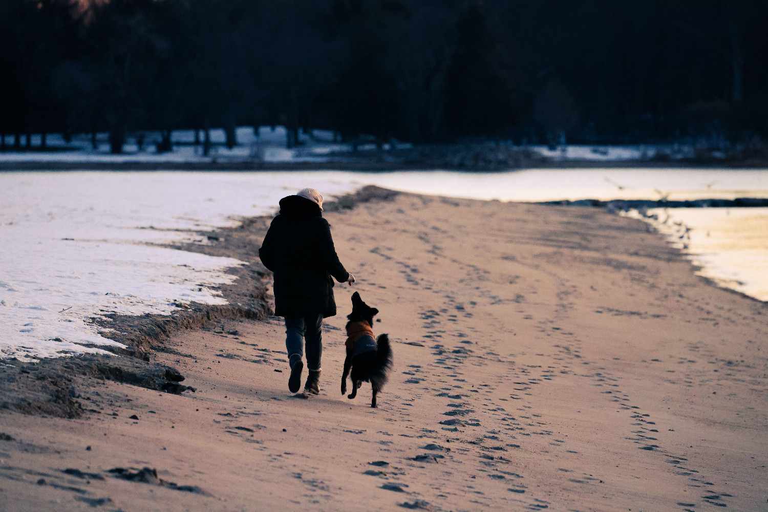 Propriétaire et chien marchant ensemble sur une plage, partageant un moment complice