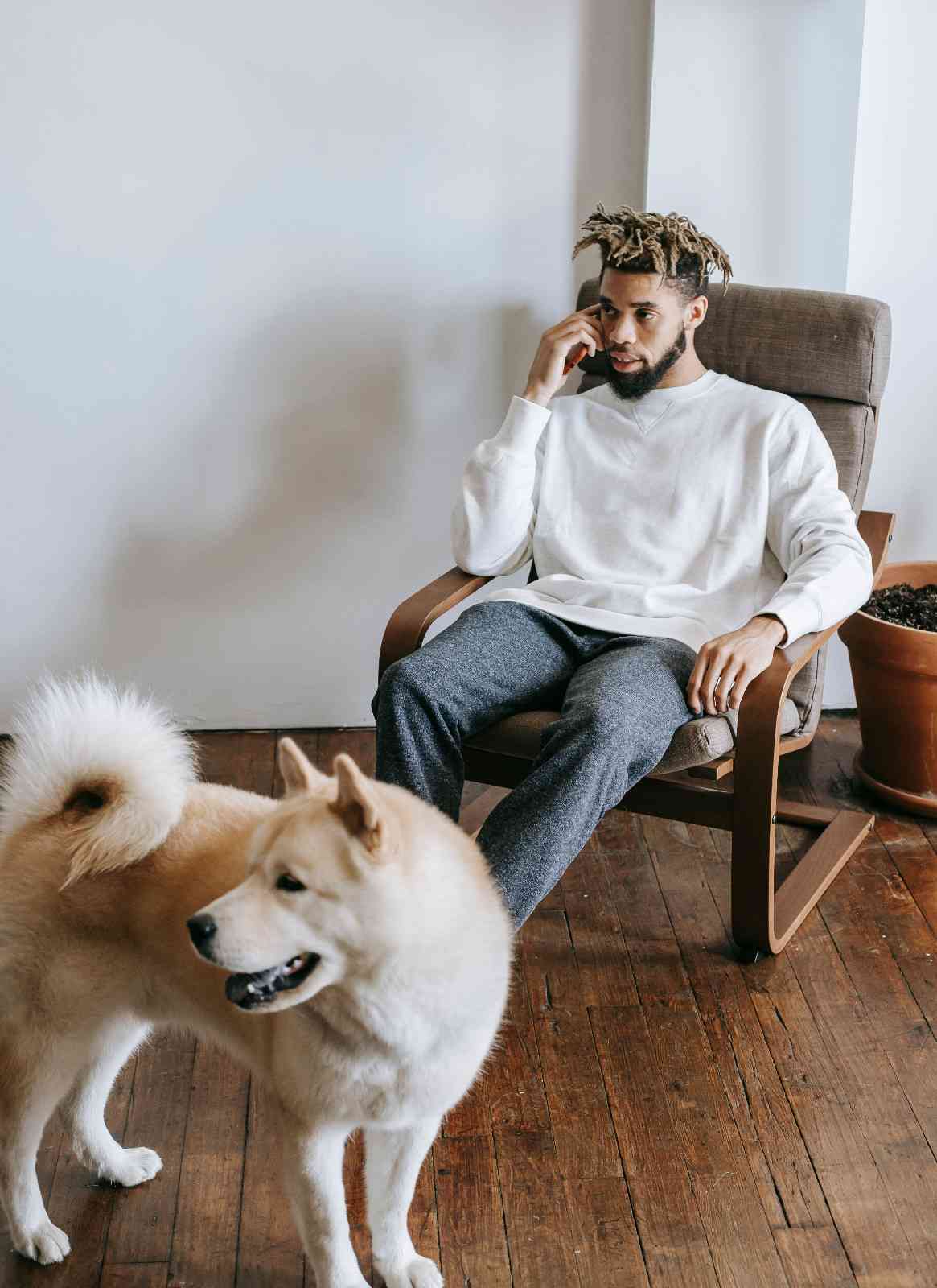 Propriétaire confus face à son chien, illustrant les idées reçues sur l'éducation canine