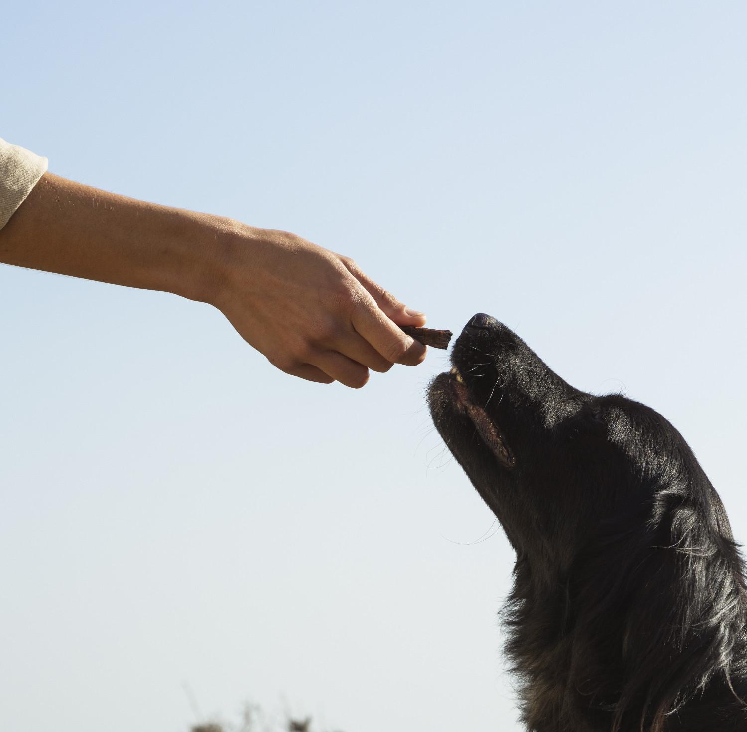 Image locale insérée