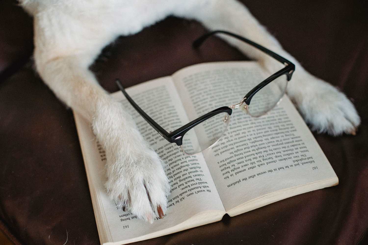 Livre de comportement animal ouvert, illustrant l'évolution des connaissances scientifiques