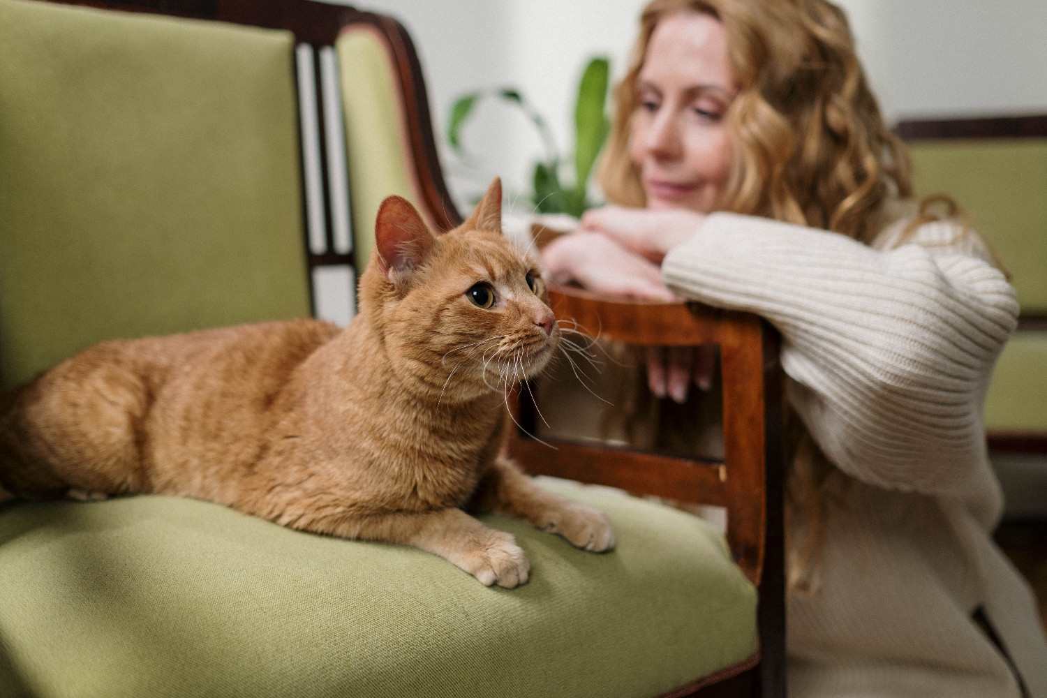 Propriétaire à l'écoute de son animal, dans une posture ouverte et attentive