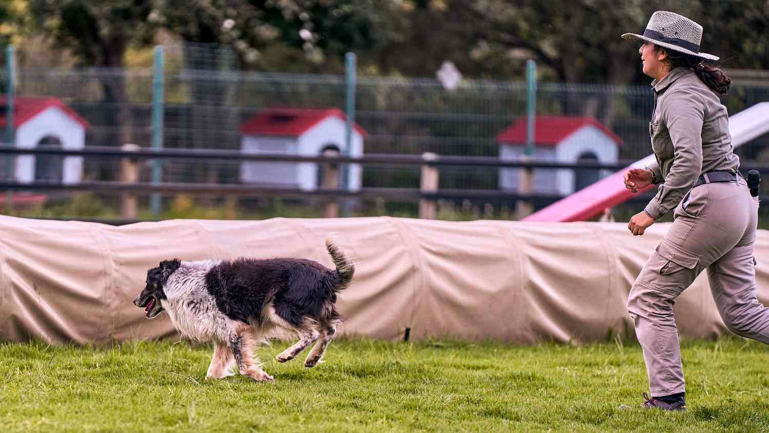 Femme courant après un chien en fuite