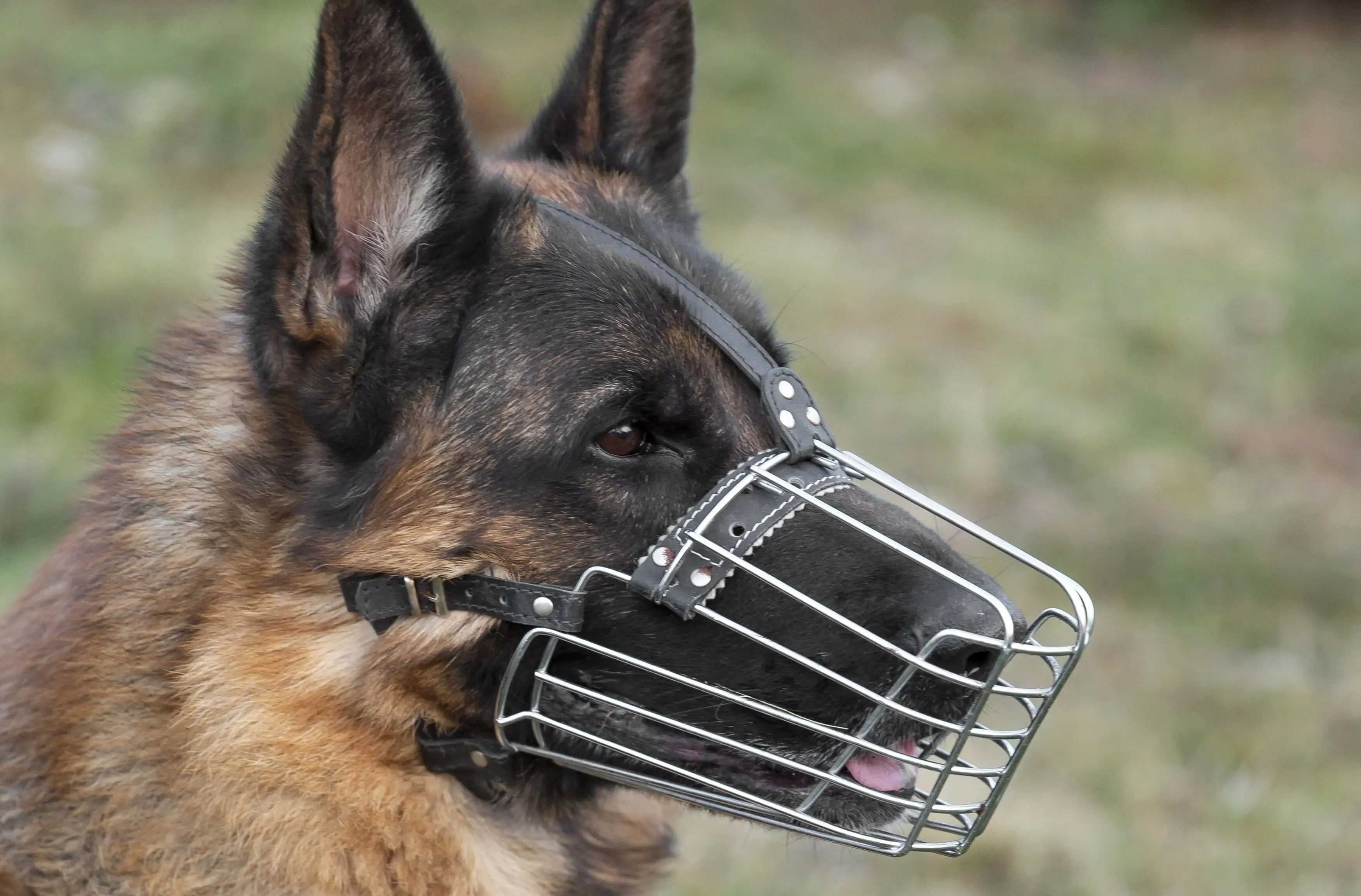 Image locale insérée